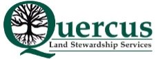 Quercus
